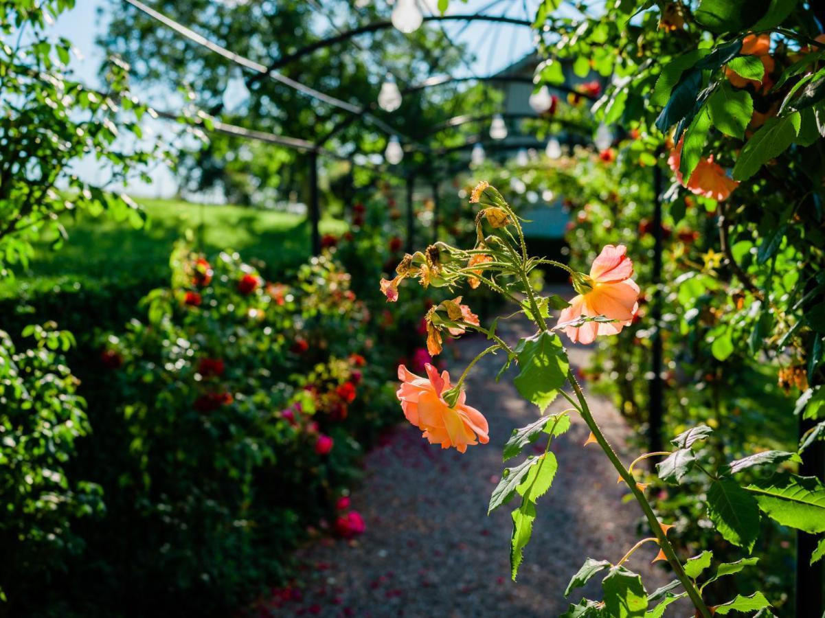 Schloss Freudenfels Eschenz Esterno foto