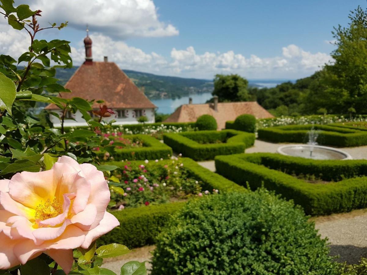 Schloss Freudenfels Eschenz Esterno foto
