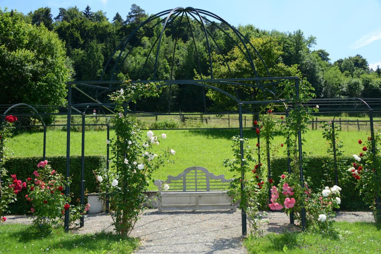 Schloss Freudenfels Eschenz Esterno foto
