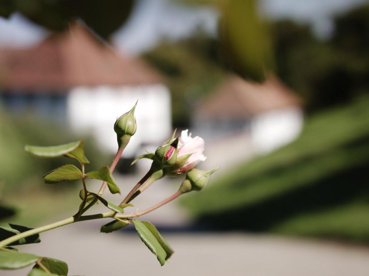 Schloss Freudenfels Eschenz Esterno foto